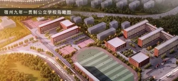 第九中学千亩园校区高中:宿城一中城南学校,宿州第二中学等.