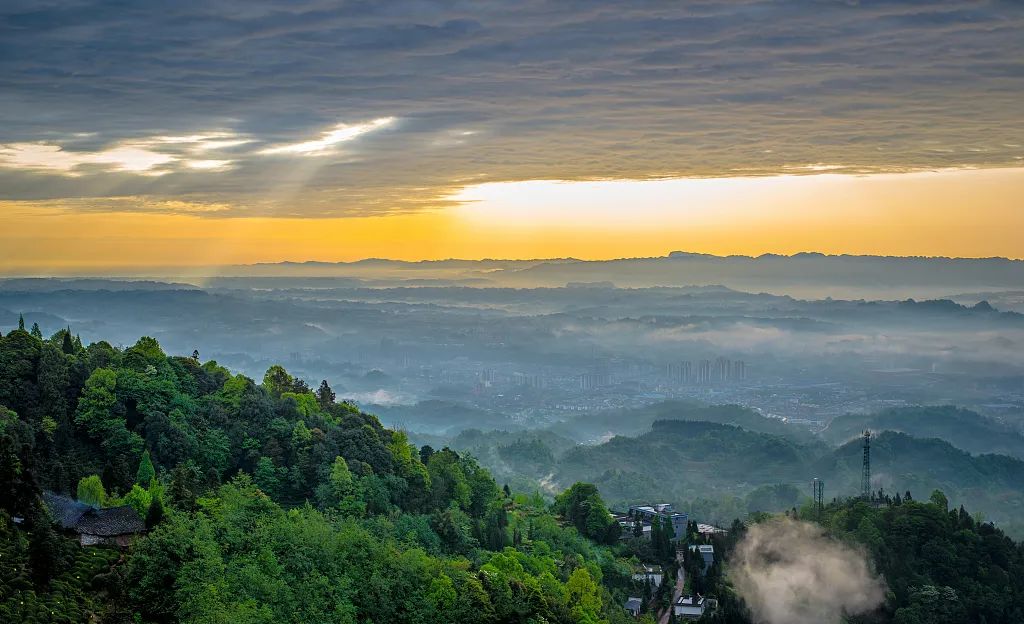 春光正当时第二十届蒙顶山茶文化旅游节3月27日开幕新闻发布会