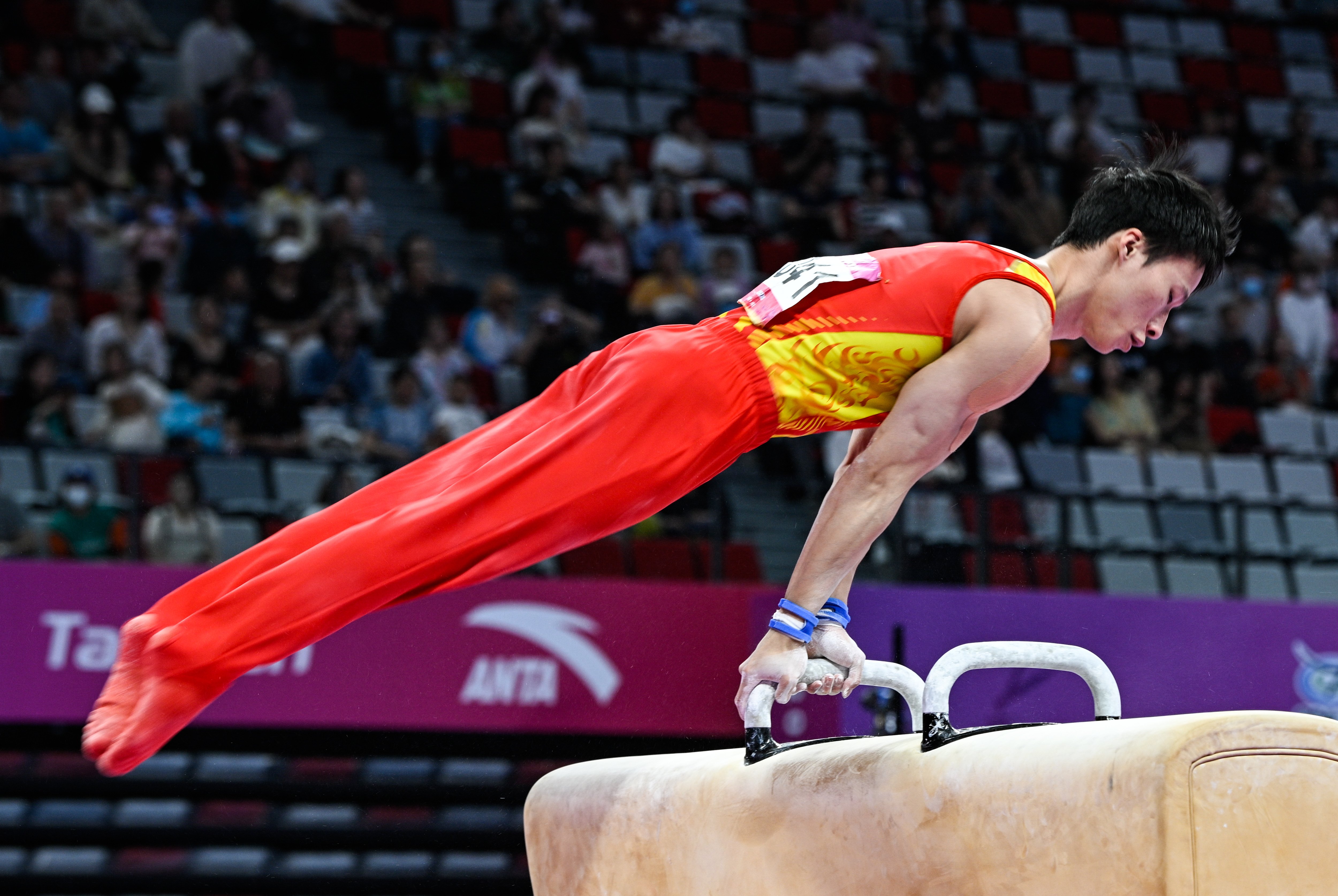 体操——全国冠军赛:鞍马决赛赛况