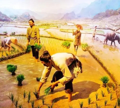 在新石器时代,我国原始农业最发达的地区,是哪一个区域?