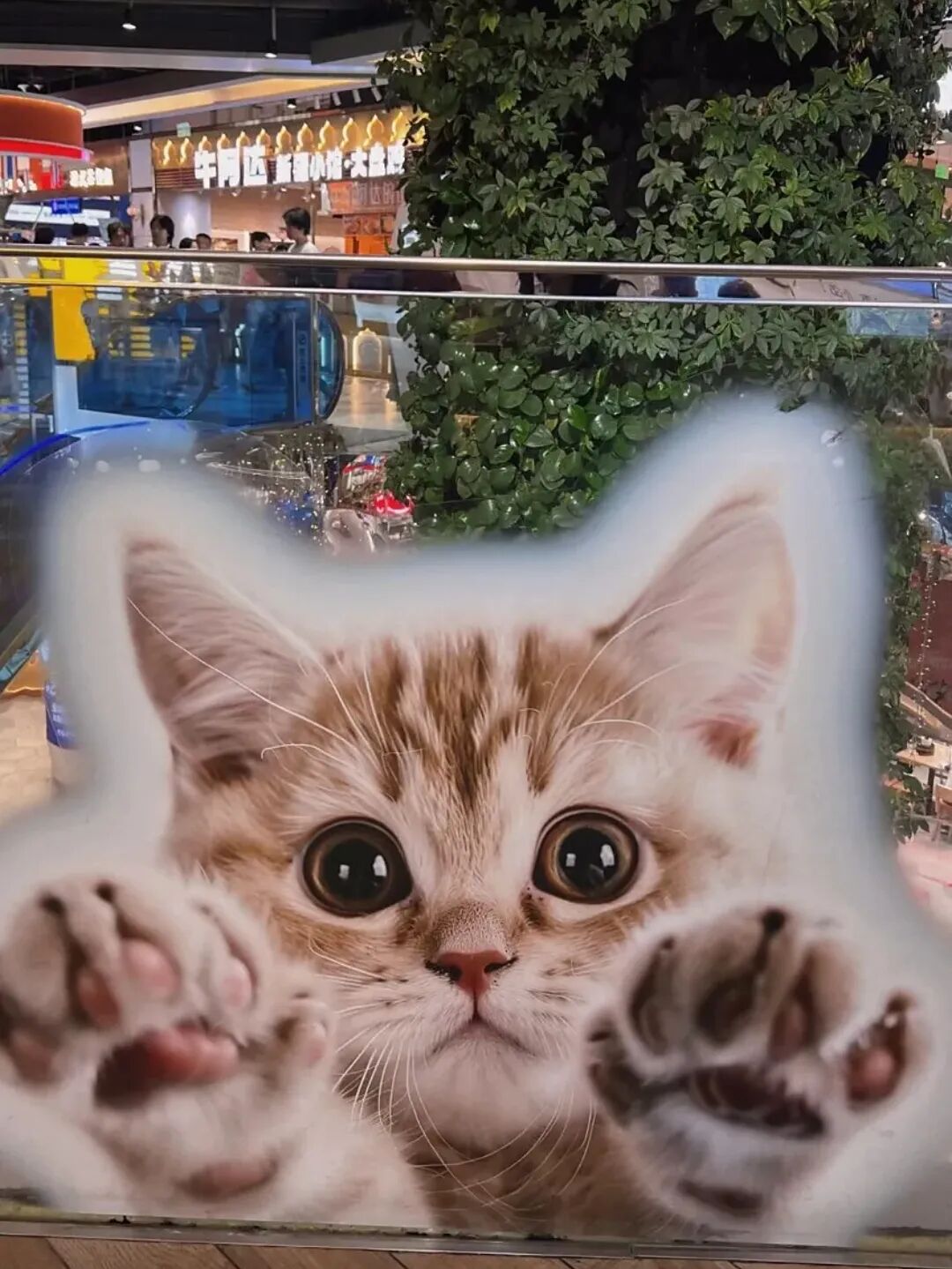 一边逛展一边感受萌萌猫周边