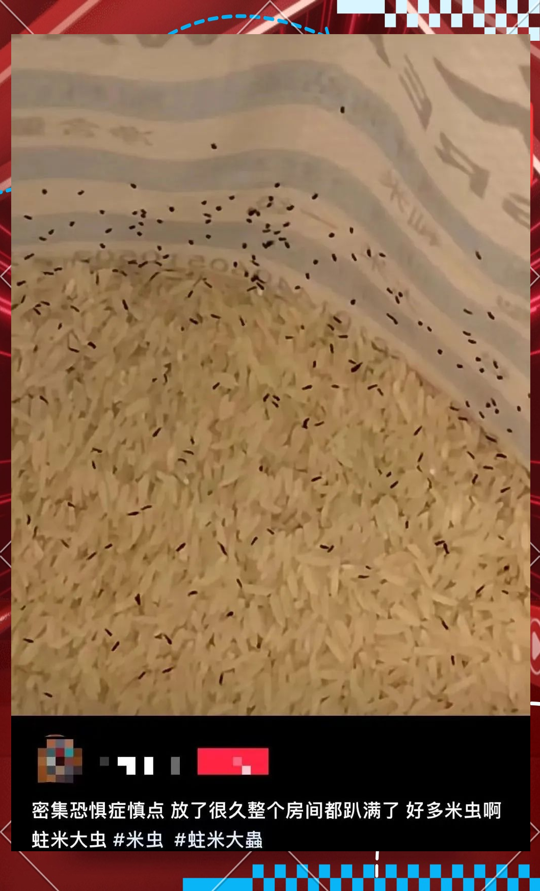 大量黑虫涌现,家中大米频受困扰,如何应对?