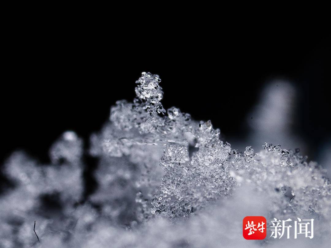 雪花微距摄影图片