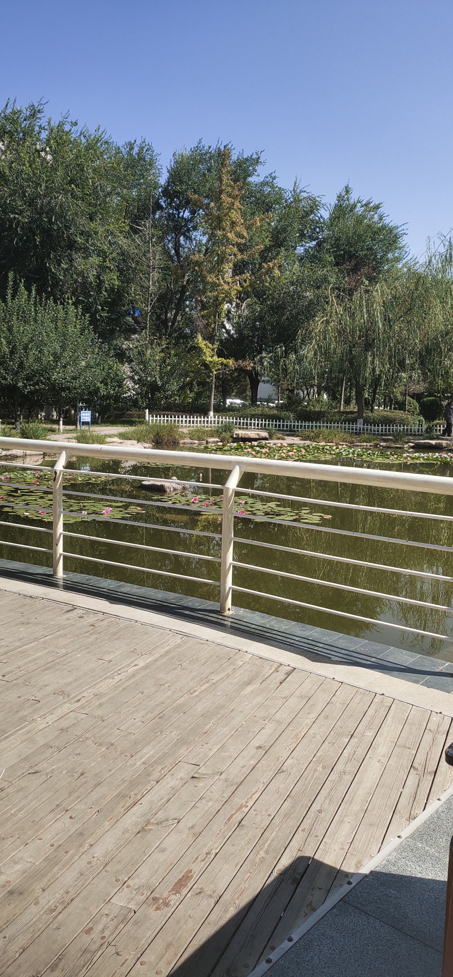 走进太谷——箕城公园