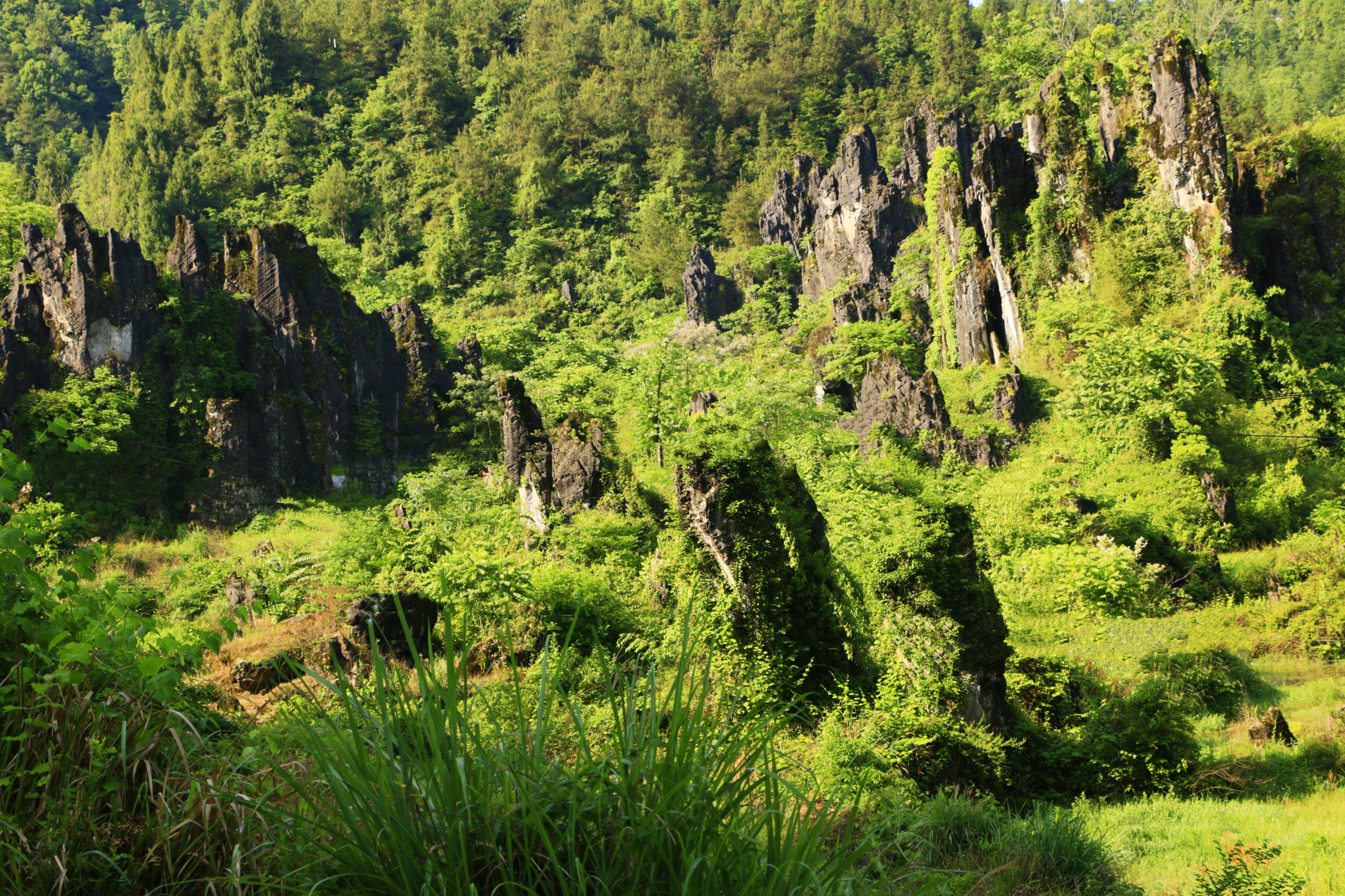边城游记之贵州松桃黔东草海