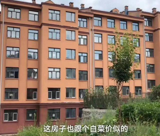 黑龙江房价新下限,双鸭山1万多一套房,要不要买?