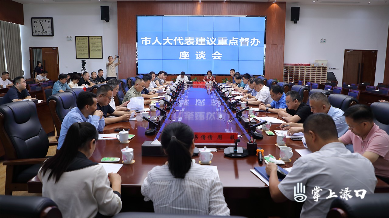 刘光跃在渌口区参加市人大代表小组主题活动