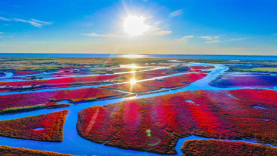 辽河口国家公园完成自评正式启动设立程序