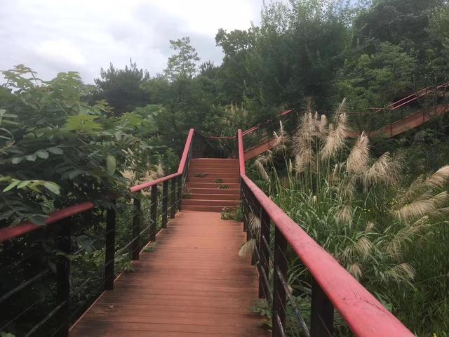 武汉印象之二妃山