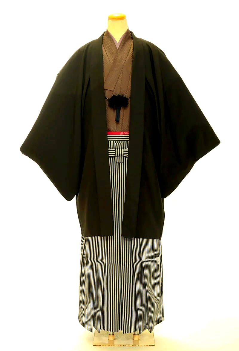 揭秘和服变迁:从传统到现代礼服