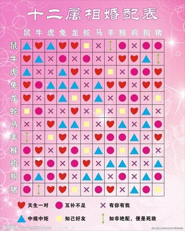 澳门生肖表2025年(澳门十二生肖今天出什么了呢)