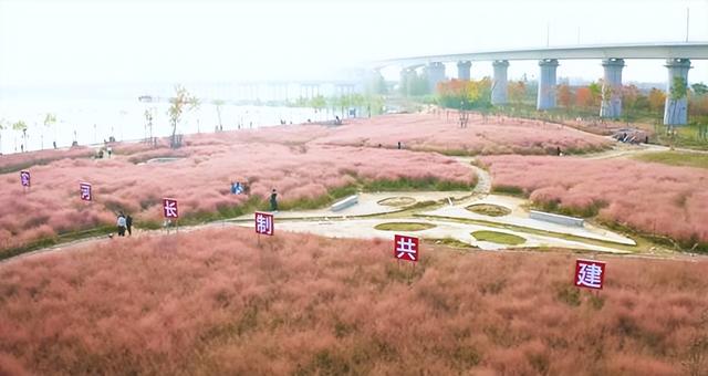 河南郏县:湿地公园风光好 生态美景展新貌