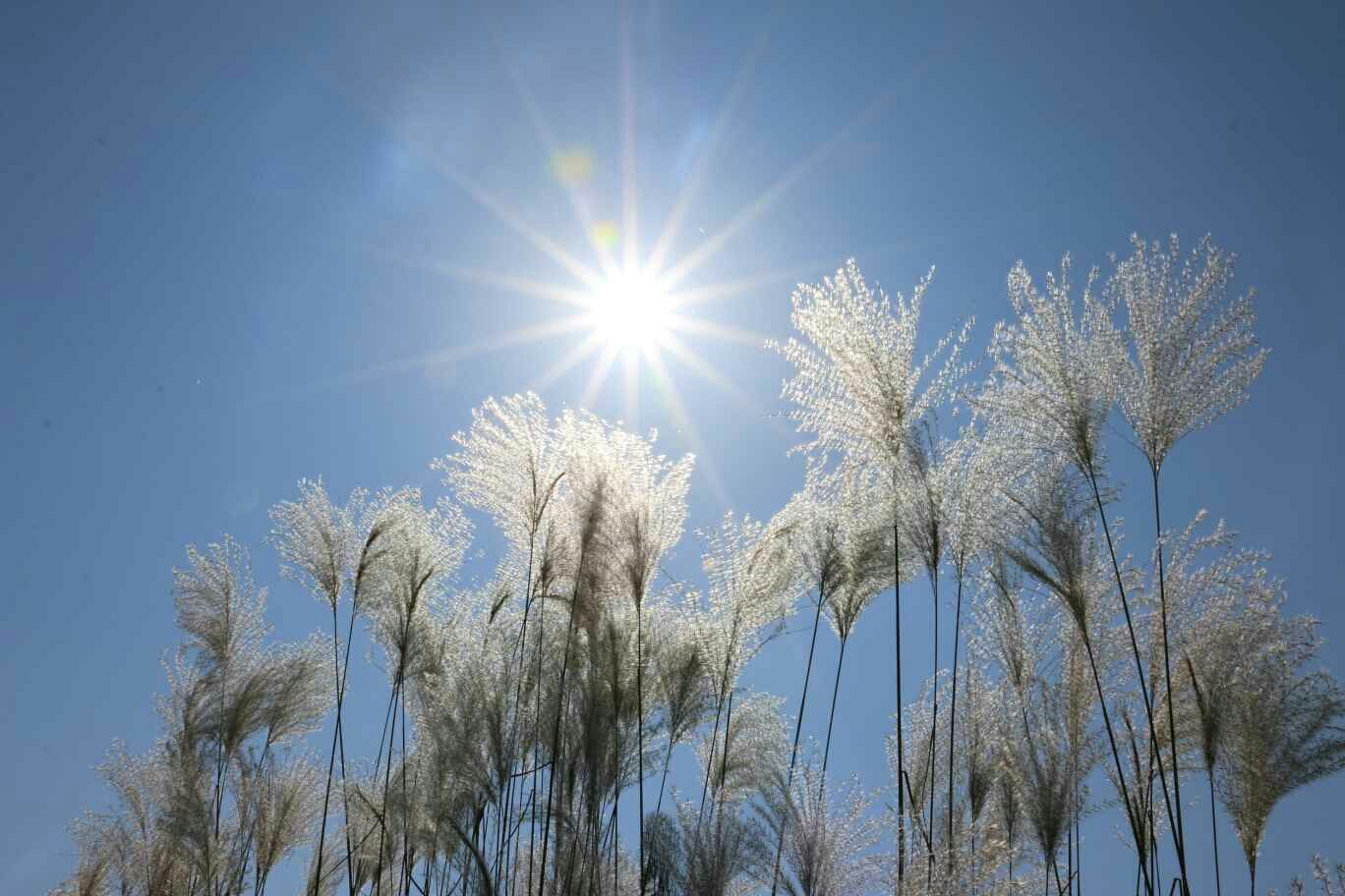 体会一下古人笔下的炎炎夏日:沸海成汤阳风含热,这画面让人窒息