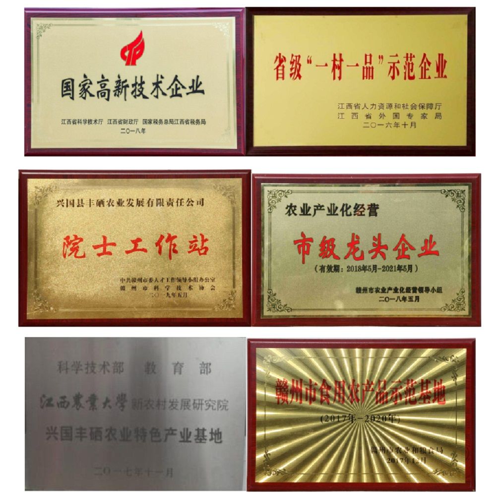 赣菜网万红妹赴兴国县丰硒农业生产基地调研