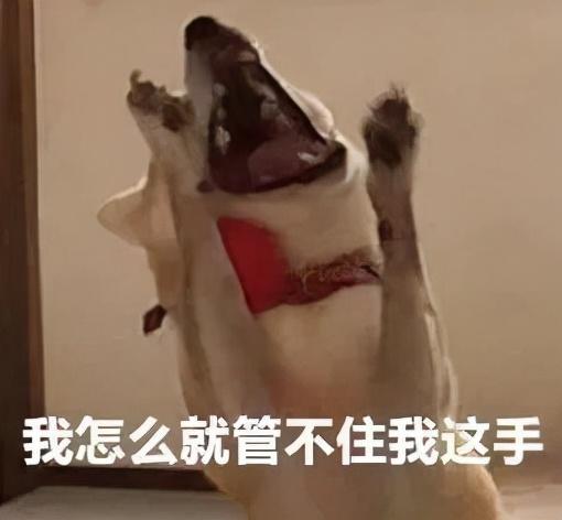 我怎么就管不住自己的手