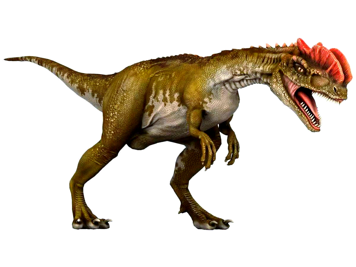 双冠龙:侏罗纪恐龙的独特捕食者