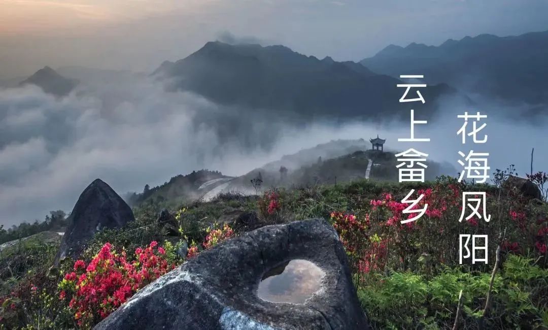 浙里畲乡共富苍南县凤阳畲族乡鹤顶山民谣露营节带你奔赴春天盛会