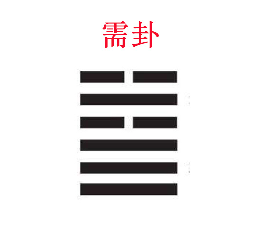 用一株草解读六十四卦,需卦,等待的草