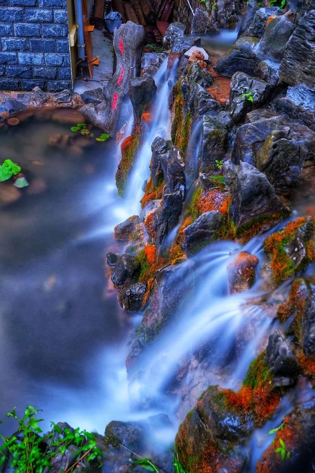 济南苦苣泉:泉涌伏流永不休 汩汩跌宕满朝气