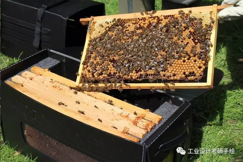 这种蜂蜡千万不能吃?哪种能吃?