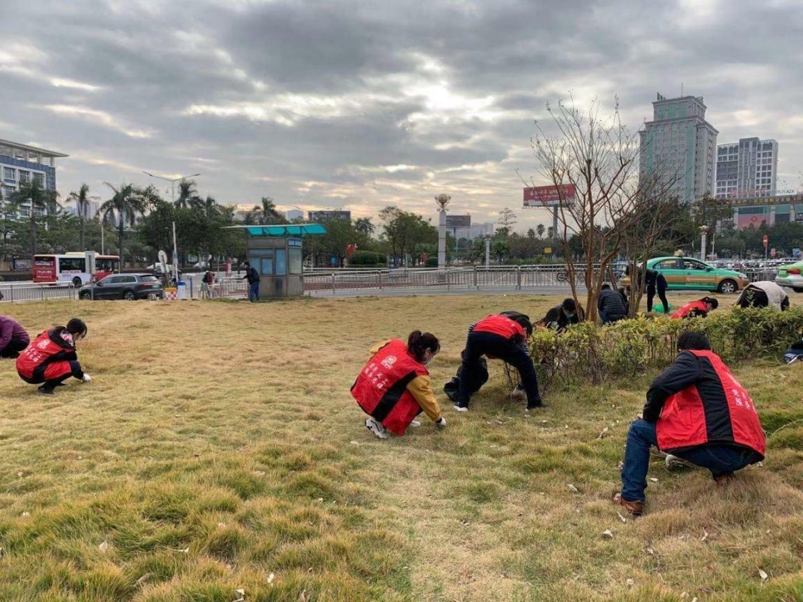 江门汽车总站组织党员义工开展修剪清洁站场周边绿化带志愿服务活动