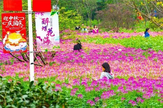 德阳中国香山·矮人王国震撼来袭!国庆花海旅游节!