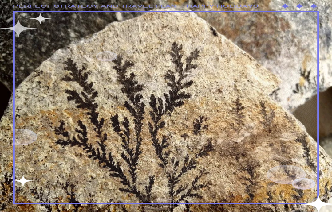 温塘河村惊现神奇模树石,展现大自然独特鬼斧神工!