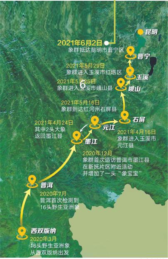 一路"象"北生态学家陈克林谈野象群迁徙