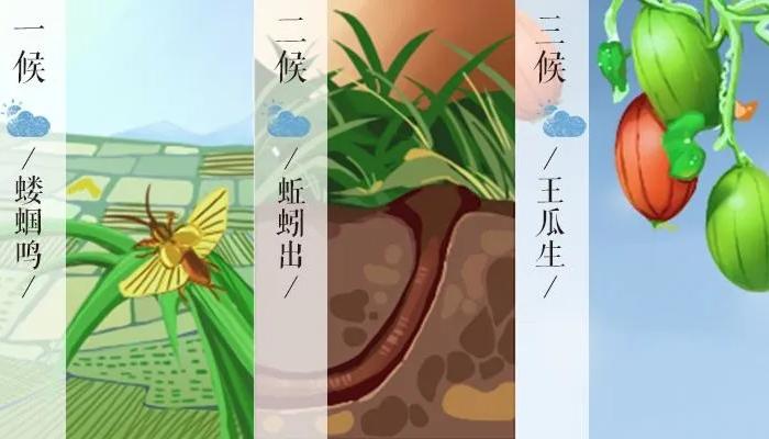 【传统文化】微识二十四节气——夏季:夏满芒夏暑相连‖蒋德均