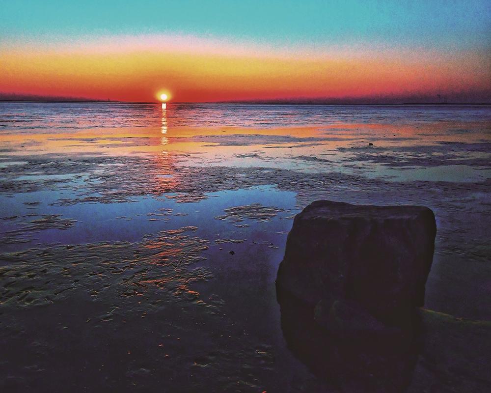 古城新韵绿意浓滦南省级森林城市创建