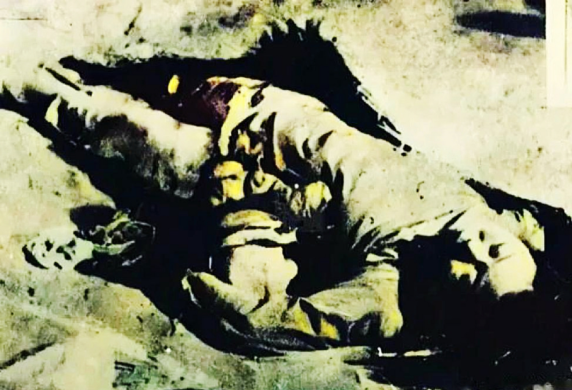 据统计,在南京大屠杀中,每9秒就有一名中国人被日军杀害.