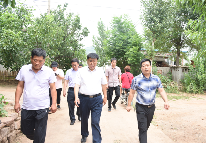 鞠世闻就脱贫攻坚进行督导调研