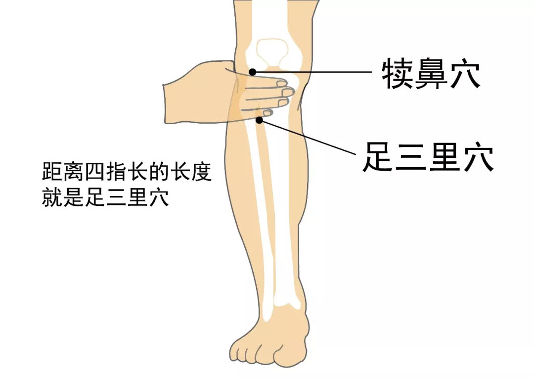 中脘的定位方法图片