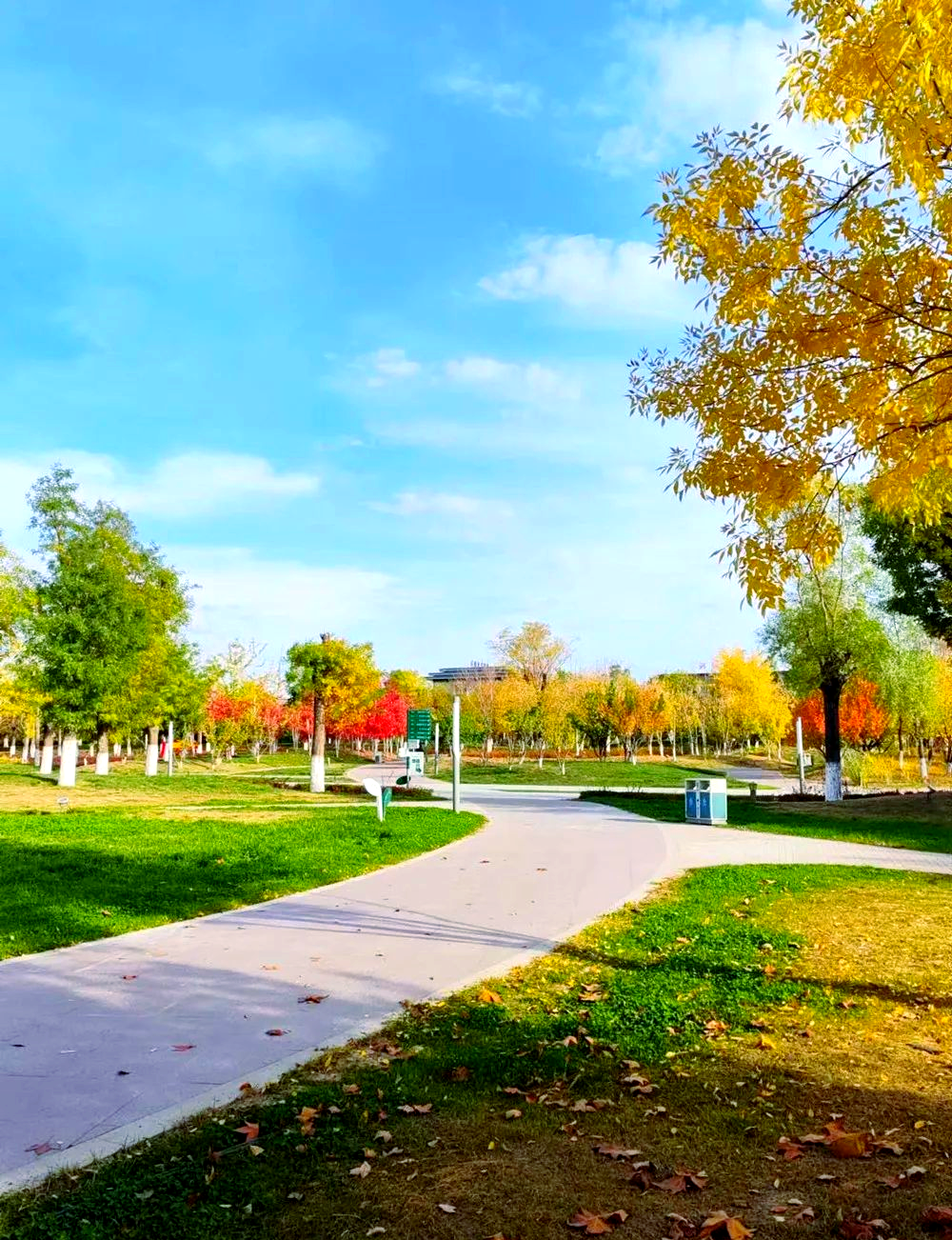 探秘可克达拉市:绿色崛起中的"兵团生态新城"