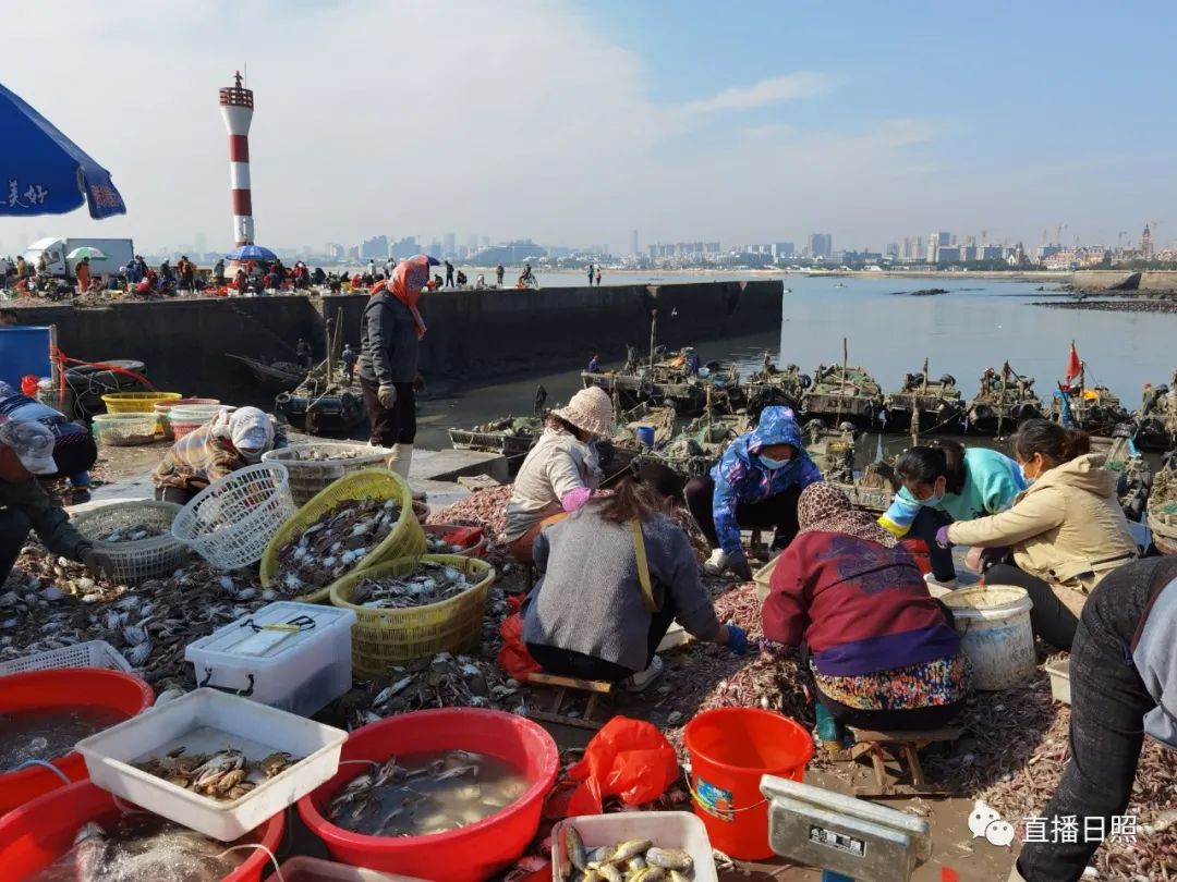 日照码头海鲜市场图片