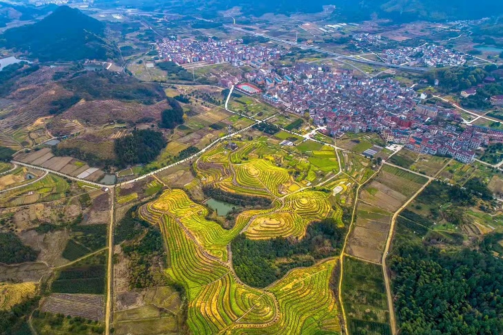 争创省级样板!赤岸镇文旅融合打造美丽城镇新标杆