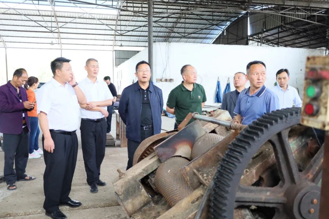 德宏州人大常委会主任李正环到瑞丽调研乡村振兴工作