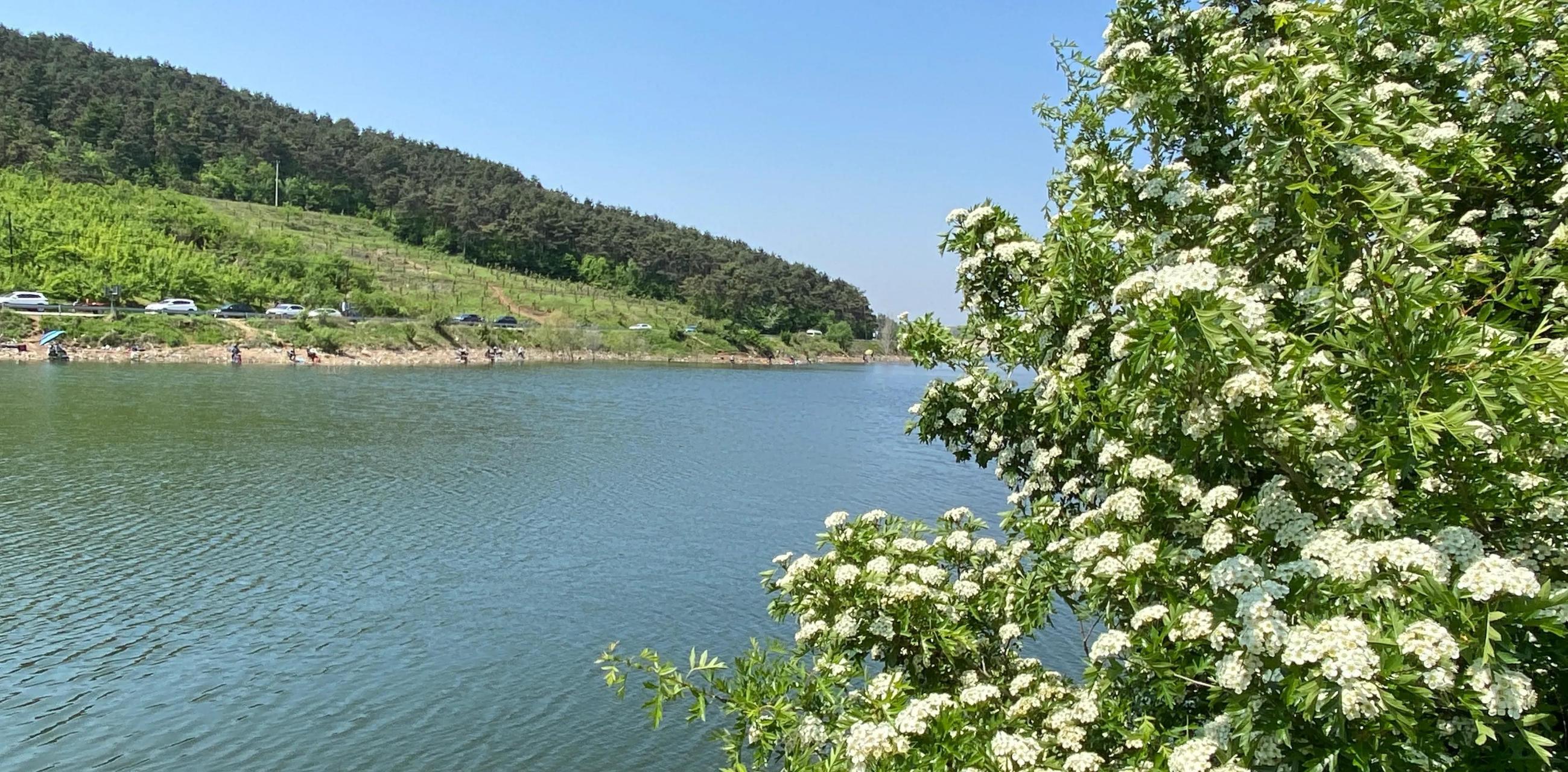 这里是辽宁省海城市的上英水库,号称海城的洱海,碧波荡漾,十里青山