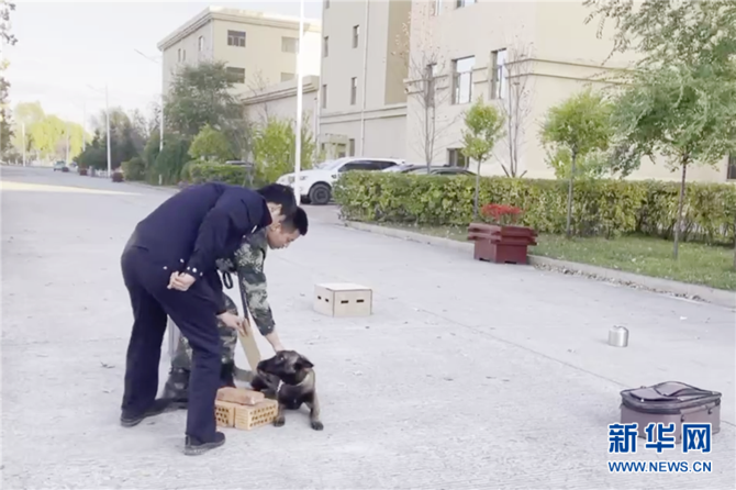 首秀立功的警犬"江勋"背后的故事来啦!