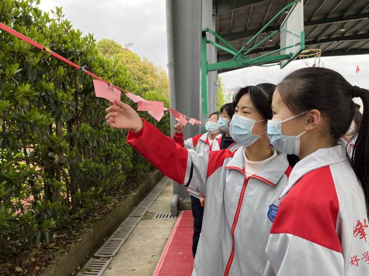 双减赋能,活力校园,台州路桥区峰江街道中学推出学科节