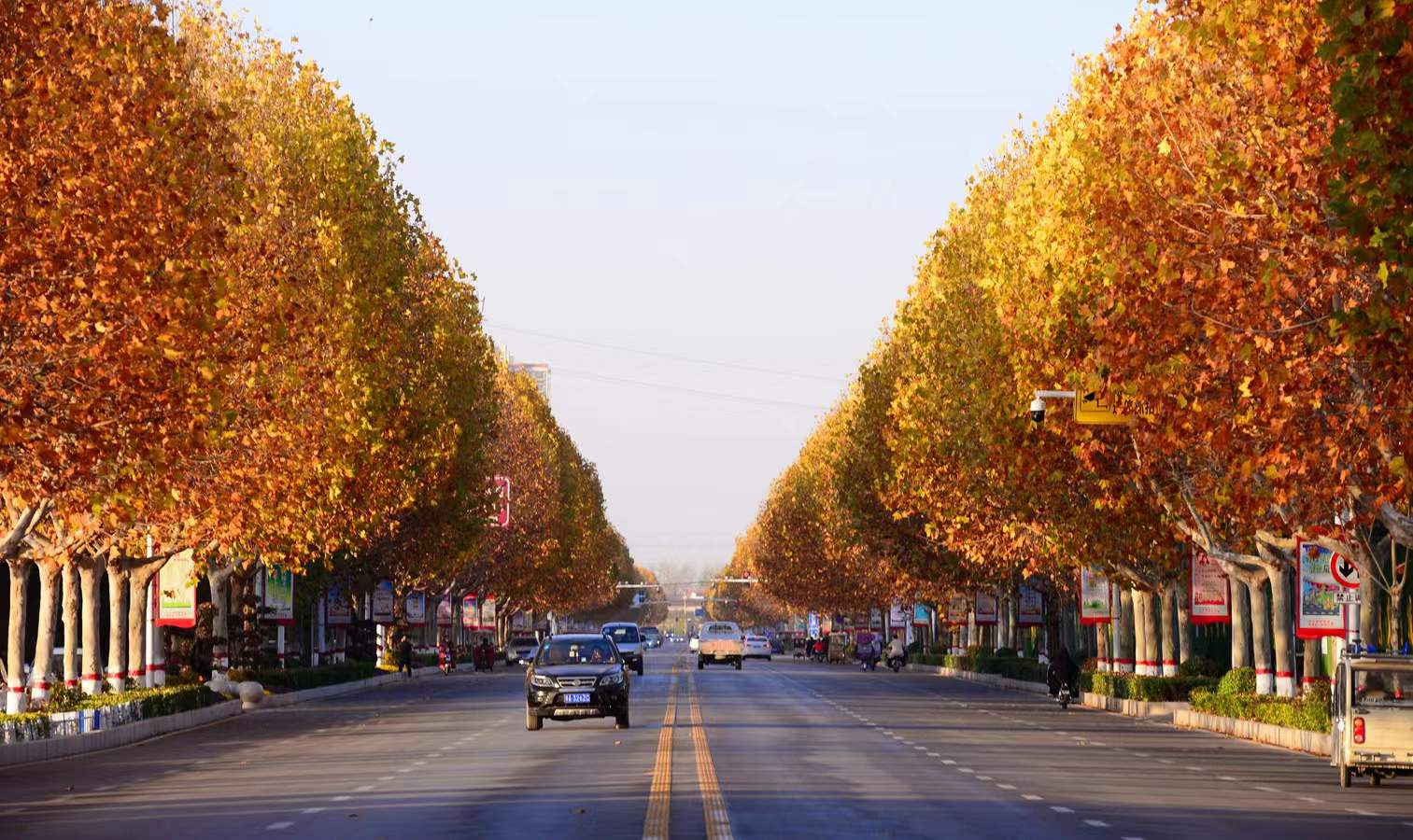 打卡河南郸城冬日美景