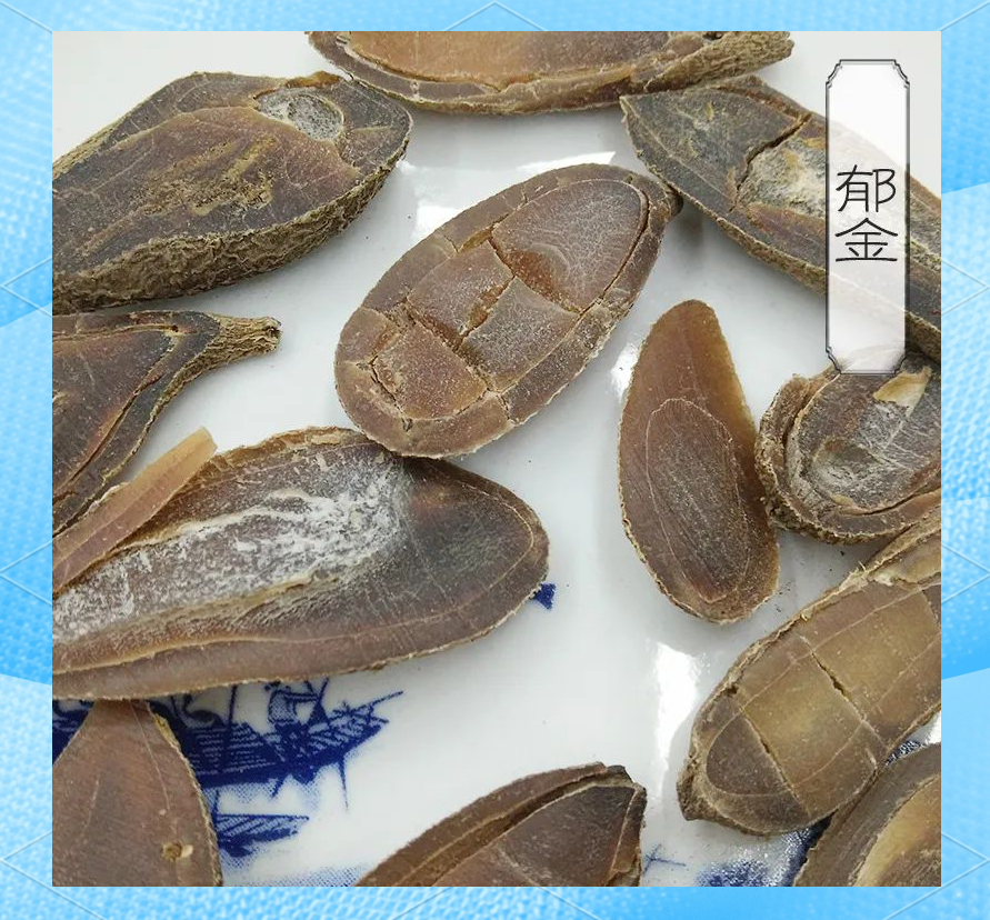 深入解析中药郁金的多样性与独特功效