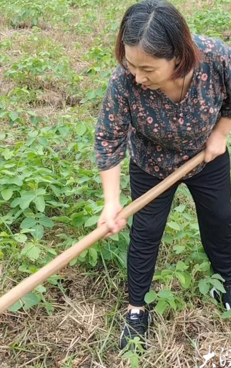 白天种地晚上吹唢呐安徽农村大姐周海艳直播三个月"吹"来50万粉丝