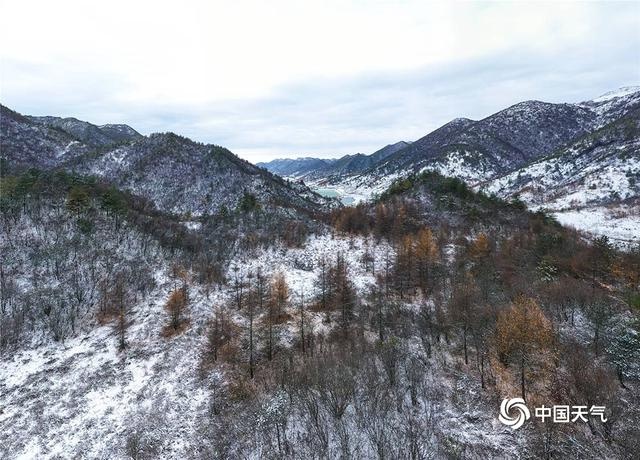 重庆巫溪红池坝高海拔地区迎今冬初雪 雪景美如画