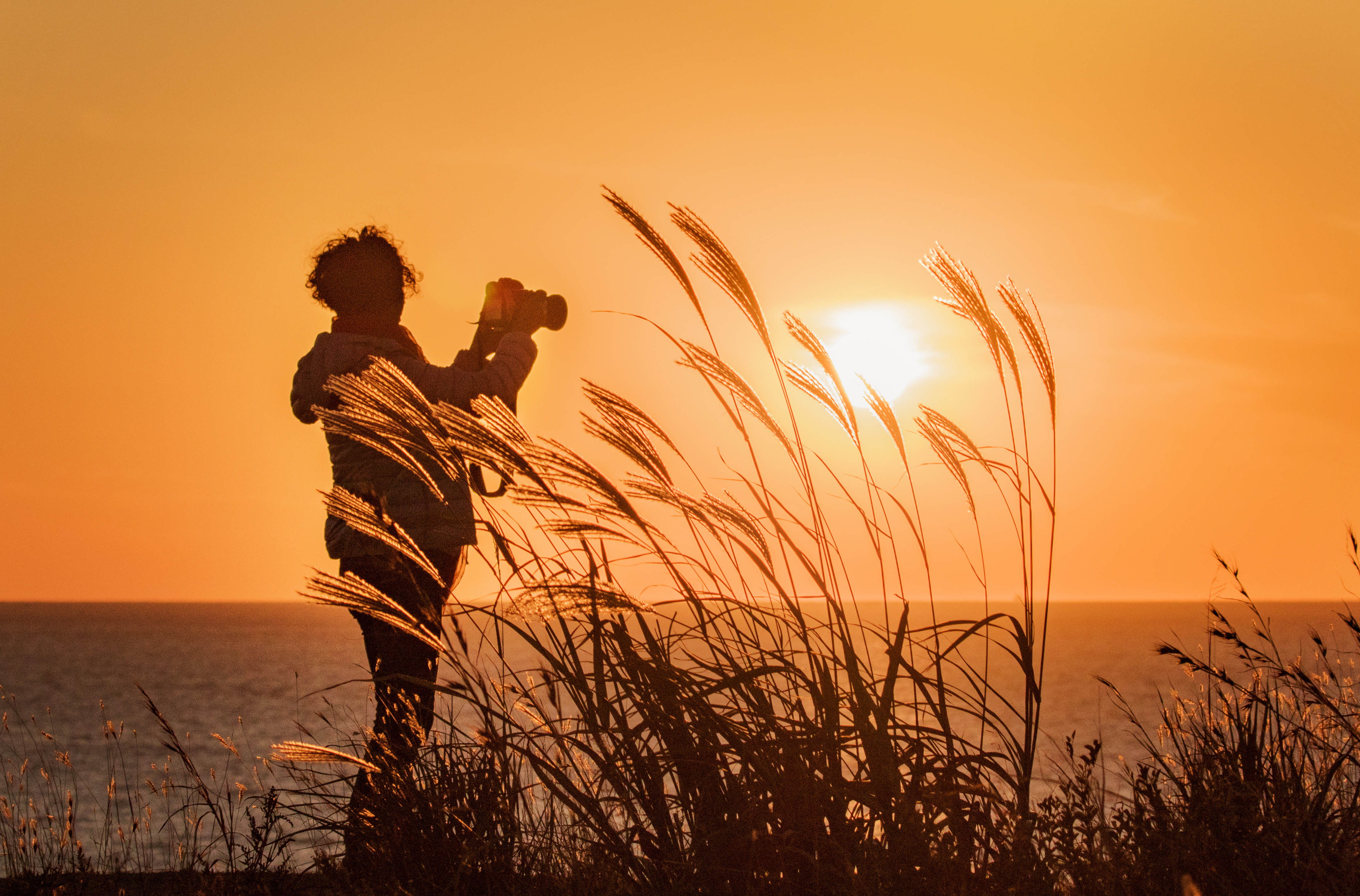 书中自有黄金屋,我给大家带来几本值得一看小说,让大家告别书荒