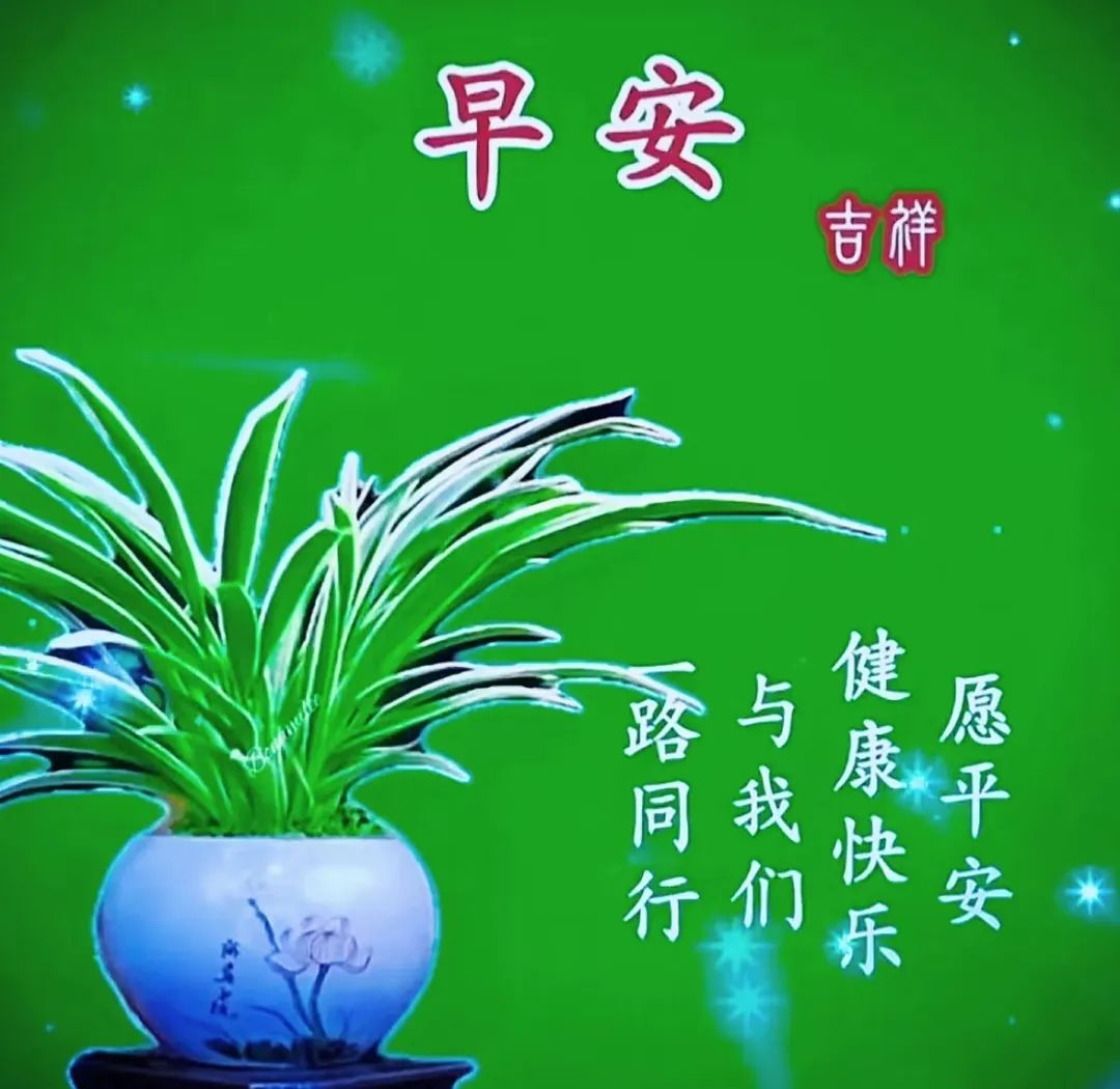 若干温馨的早晨问候表情包图片及祝福语推荐