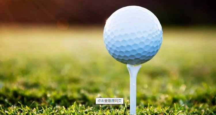 cobra是什么牌子