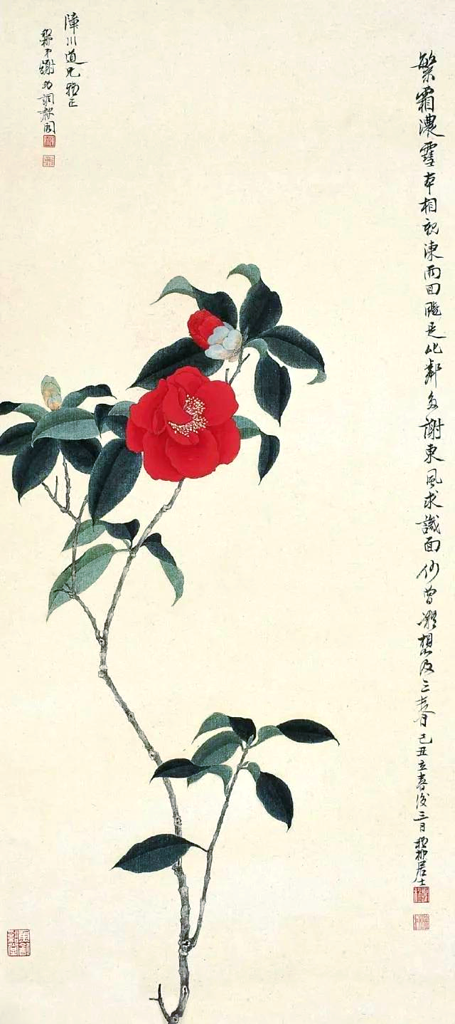 谢稚柳花鸟画中的诗与情,品味自然的韵味
