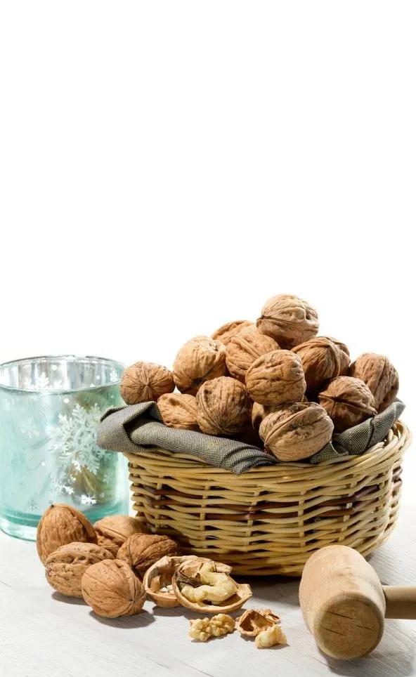 坚果类壁纸,愿你坚强果敢,有着坚硬的外壳,美好的内在