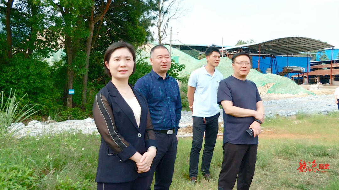 临武县委副书记,县长尹海莲检查安全生产工作:加大排查 快速整改 确保